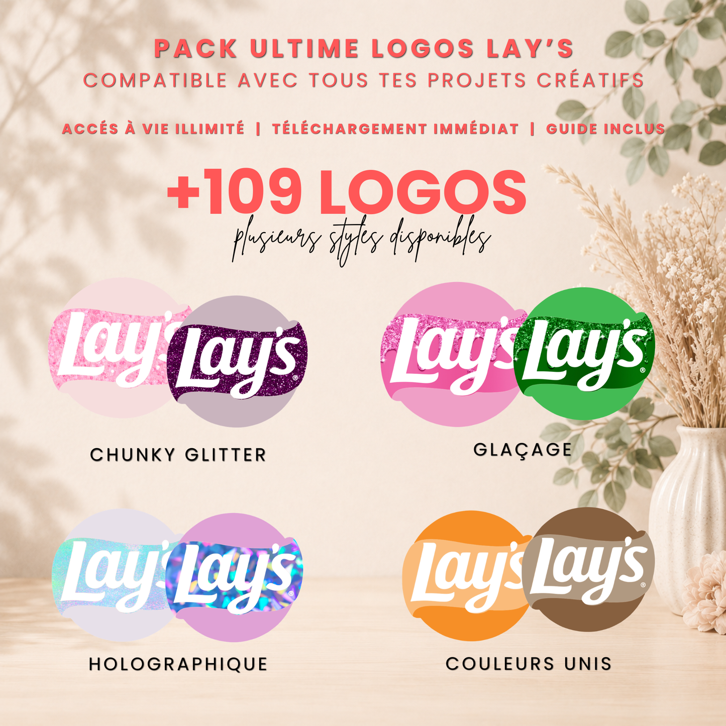 Logos Lay's pack 109+| PNG Haute Qualité