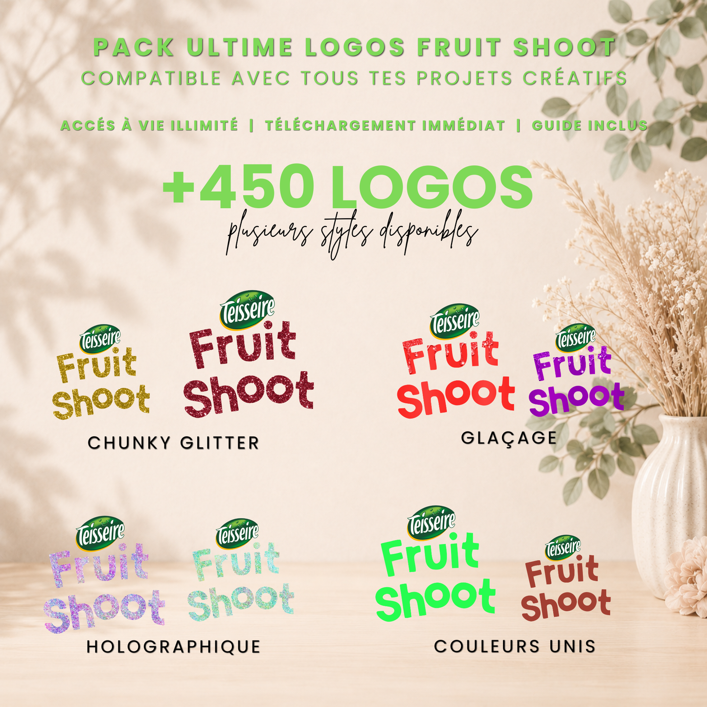 Logos Fruit Shoot pack 450+ | PNG Haute Qualité